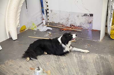 Emmanuelle Lainé – Non ingannare la pienezza delle mie capacità!