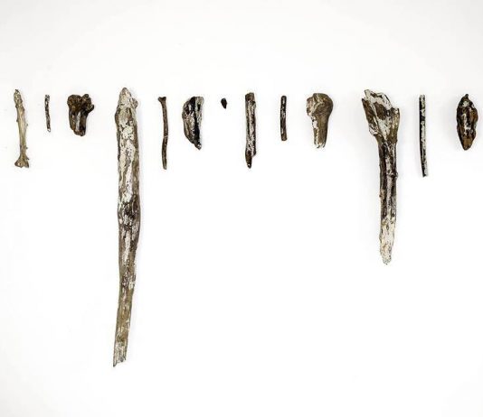 Giorgia Severi – Restoring the world