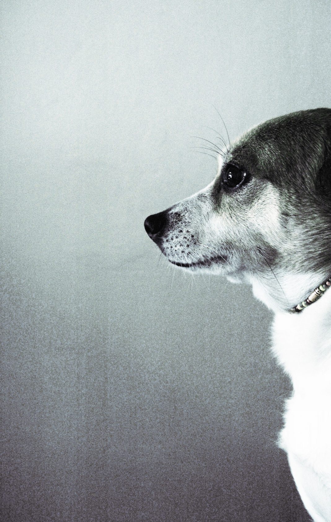 Giulia Pesarin / Laura Ragazzi – Arte, vino e peperoncinohttps://www.exibart.com/repository/media/eventi/2014/09/giulia-pesarin-laura-ragazzi-8211-arte-vino-e-peperoncino-1068x1682.jpg