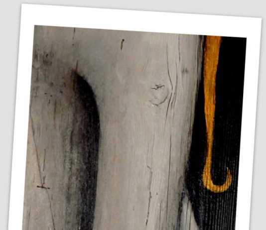 La parte superflua dell’autunno