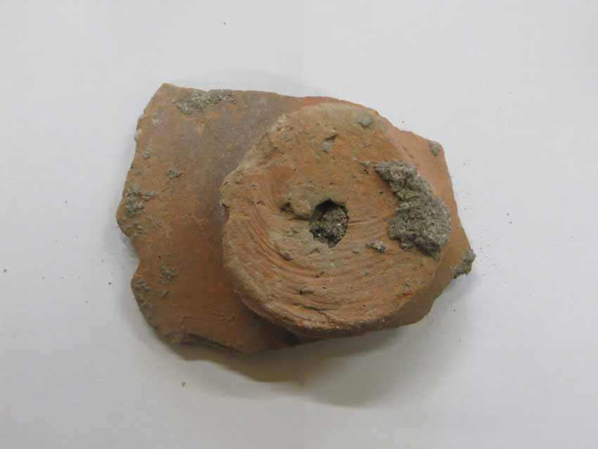 Le pietre e i libri: dagli scavi archeologici alle cinquecentinehttps://www.exibart.com/repository/media/eventi/2014/09/le-pietre-e-i-libri-dagli-scavi-archeologici-alle-cinquecentine.jpg