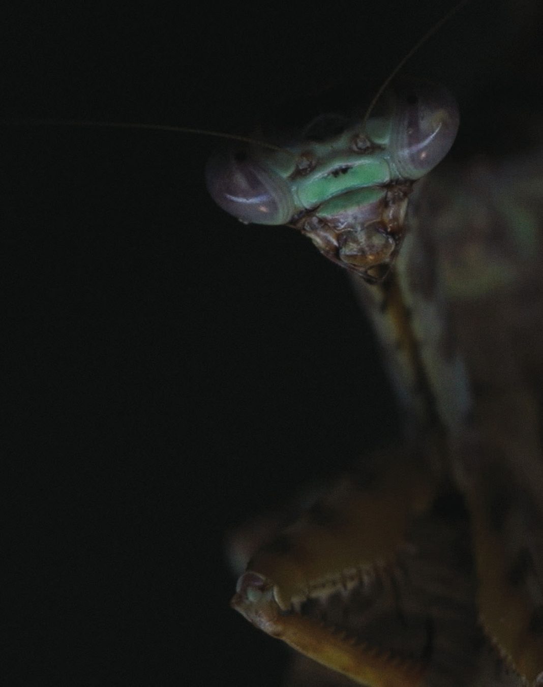 Masbedo –  Todestriebehttps://www.exibart.com/repository/media/eventi/2014/09/masbedo-8211-todestriebe-1068x1351.jpg