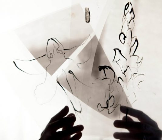 Ofri Cnaani – Not I