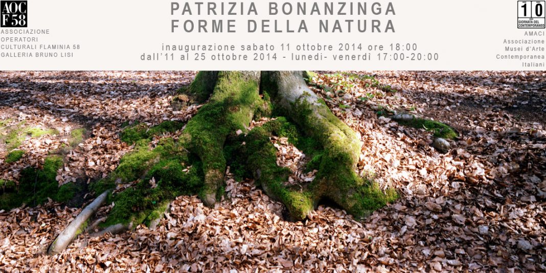 Patrizia Bonanzinga – Forme della Naturahttps://www.exibart.com/repository/media/eventi/2014/09/patrizia-bonanzinga-8211-forme-della-natura-1068x534.jpg
