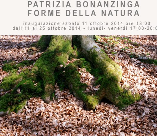 Patrizia Bonanzinga – Forme della Natura