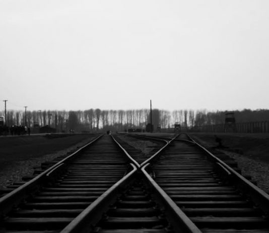 Percorsi della Memoria Auschwitz Birkenau