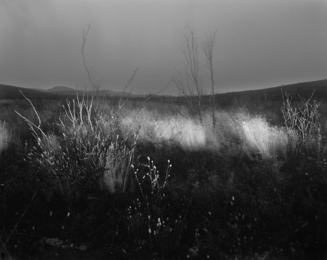 Piero Roi – Inneres Auge / Giacomo Rizzo – In levarehttps://www.exibart.com/repository/media/eventi/2014/09/piero-roi-8211-inneres-auge-giacomo-rizzo-8211-in-levare-1068x851.jpg