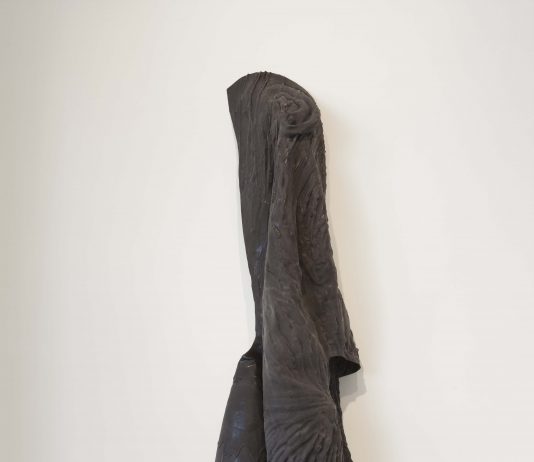 Richard Dupont – Selfie