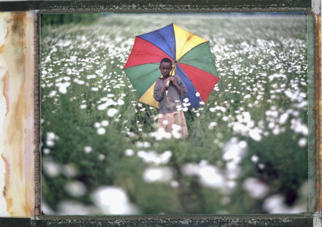 Ruanda 20 anni dopo, ritratti del cambiamento
a cura del Caffé dei Giornalistihttps://www.exibart.com/repository/media/eventi/2014/09/ruanda-20-anni-dopo-ritratti-del-cambiamento-a-cura-del-caffé-dei-giornalisti-1068x753.jpg