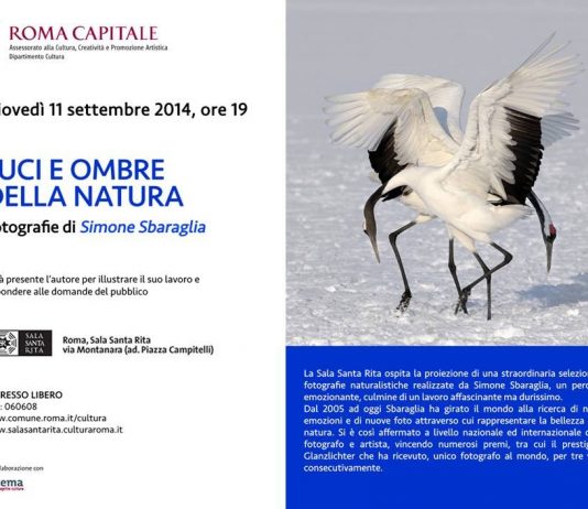 Simone Sbaraglia – Luci e ombre della natura