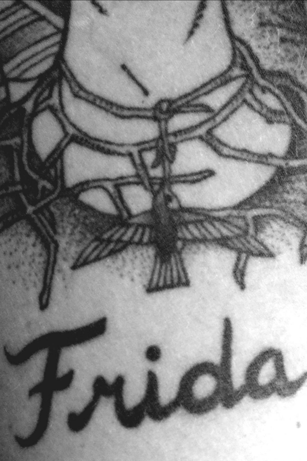 Una bomba avvolta in un nastro di seta A.B.https://www.exibart.com/repository/media/eventi/2014/09/una-bomba-avvolta-in-un-nastro-di-seta-a.b-1068x1602.jpg