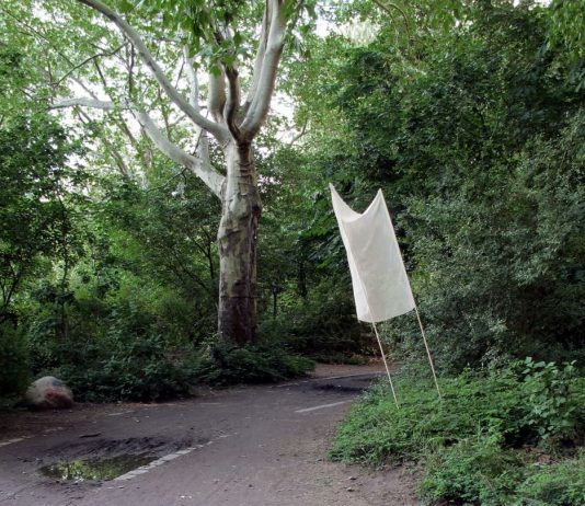 Vincenzo Rulli – My memory is somewhere else