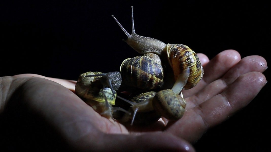 27° Les Instant Video Festivalhttps://www.exibart.com/repository/media/eventi/2014/10/27°-les-instant-video-festival-1068x601.jpg