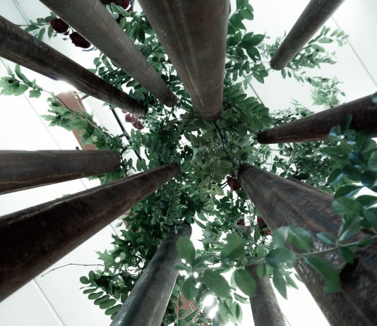 Andrea Ebbi / Luca Onniboni – Foresta Urbana