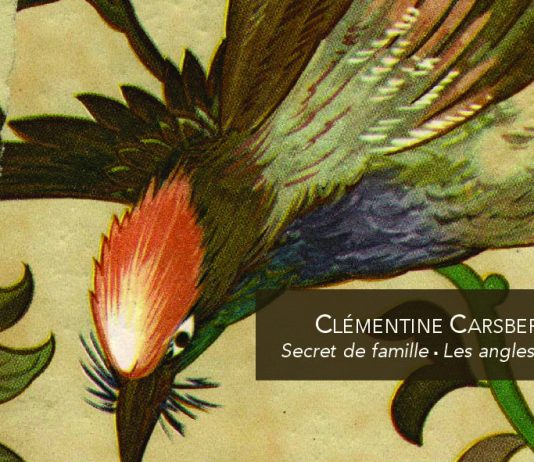 Clémentine Carsberg – Secret de famille. Les angles morts Clémentine Carsberg – Secret de famille. Les angles morts