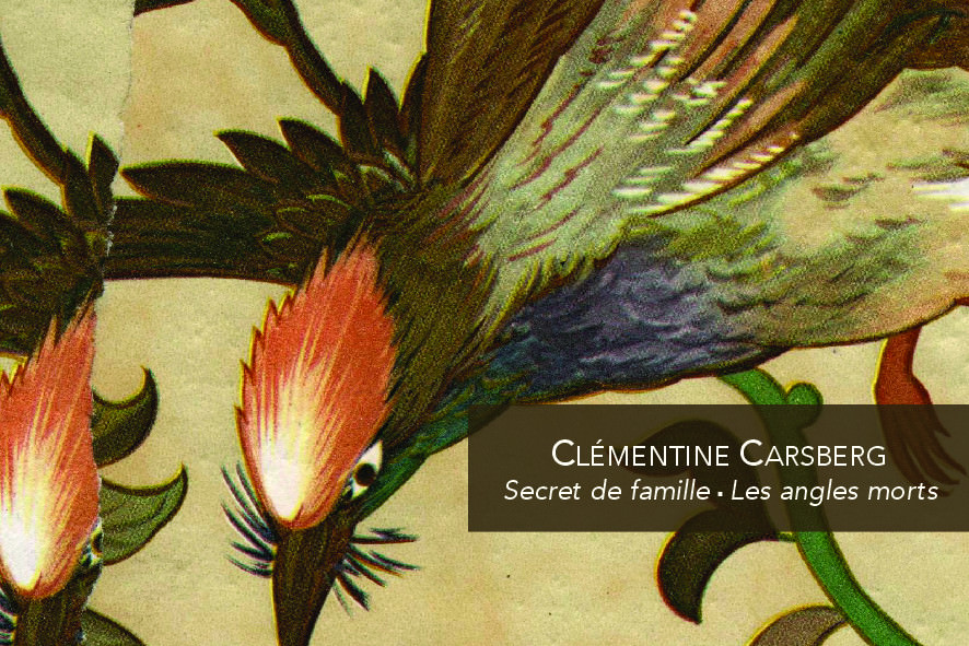 Clémentine Carsberg – Secret de famille. Les angles mortshttps://www.exibart.com/repository/media/eventi/2014/10/clémentine-carsberg-8211-secret-de-famille.-les-angles-morts.jpg