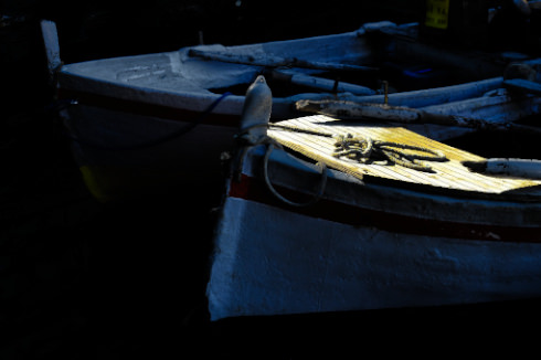 Davide Marino – Aequilibrium