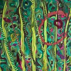 Gisella Penna – Stratificazioni