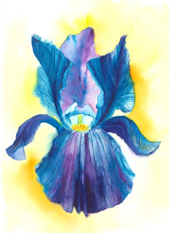 Katerina Lukasova – Fiori di luce