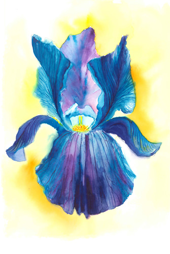 Katerina Lukasova – Fiori di lucehttps://www.exibart.com/repository/media/eventi/2014/10/katerina-lukasova-8211-fiori-di-luce.jpg