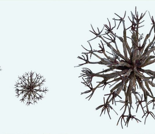 Luisa Valentini – Osservo le stelle anche quando dormo