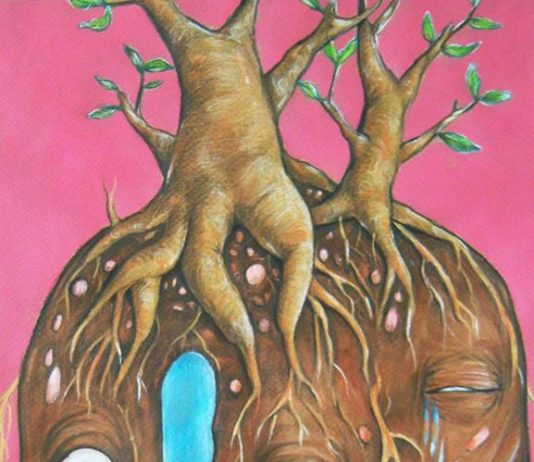 Patricia Taide Mariani – Rubedo sideralis