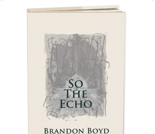 So the echo.  A night with Brandon Boyd