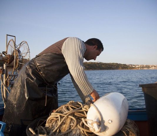 Agata Katia Lo Coco – Orlando e il mare