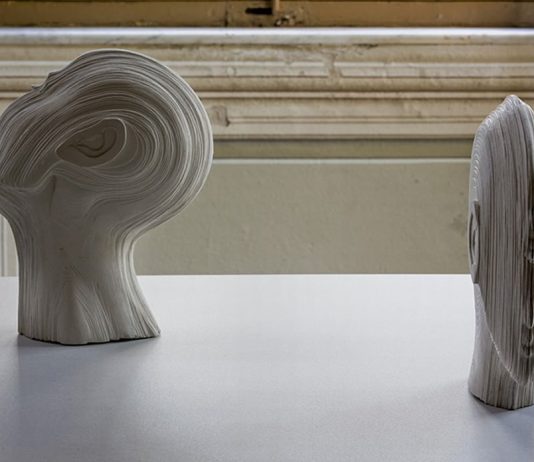 Daniela de Lorenzo – Pari passo