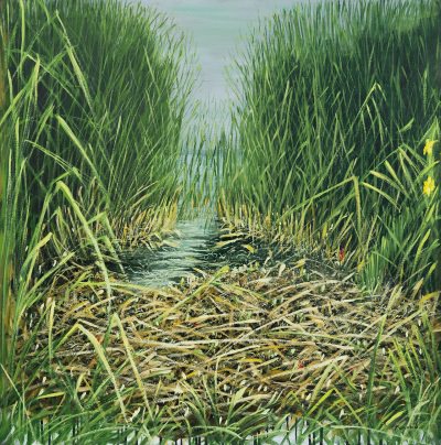 Ivo Bonino – L’anima e il corpo del paesaggio