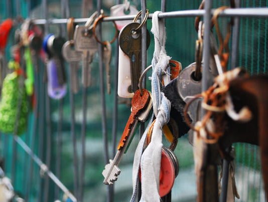 Le ali spezzate. L’Aquila la città che non vuole morire. Le ali spezzate. L’Aquila la città che non vuole morire.