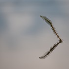 Luca Paramidani – La memoria dell’acqua