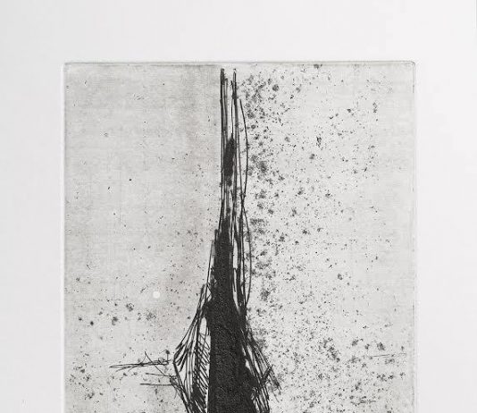 Manuel Alfieri / Paola Pace – Interlinea