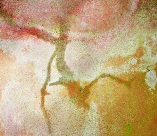 Naide Bigliardi – Stranaluce