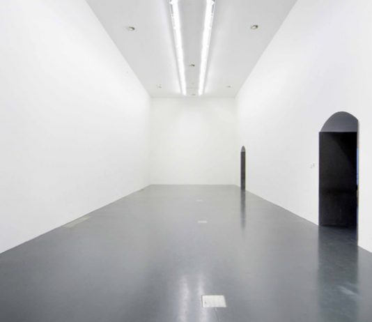 Premio Lorenzo Bonaldi per l’Arte – EnterPrize: 
Incontro con  Elaine Cameron-Weir