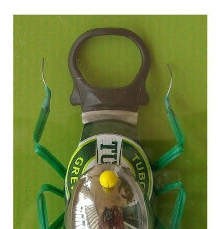 Saulo Guarnaschelli – Una cronaca di natura