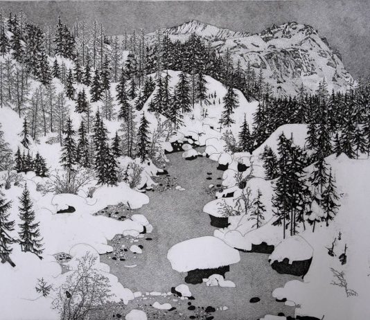 Appunti di viaggio. Il paesaggio alpino nelle incisioni di Federica Galli / I libri materici di Gabriella Benedini