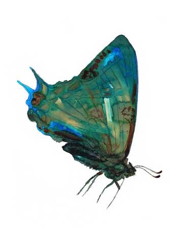 Doren – Io non sono Iohttps://www.exibart.com/repository/media/eventi/2014/12/doren-8211-io-non-sono-io.jpg