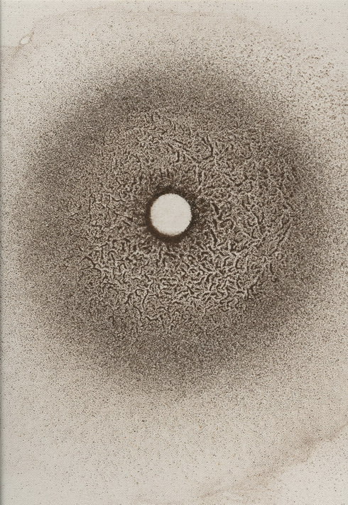 Giuliana Storino – Erahttps://www.exibart.com/repository/media/eventi/2014/12/giuliana-storino-8211-era.jpg