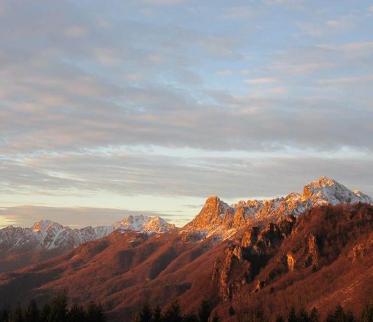 Leonardo Pianezzola Leonardo Pianezzola