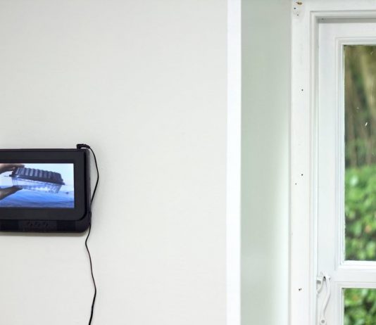 Magnus Frederik Clausen – The Tomato Syndrome