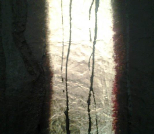 Paola Bisio – Metamorfosi Ossea Paola Bisio – Metamorfosi Ossea