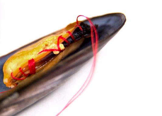 Angelica Porrari – Gloves’Stories #15