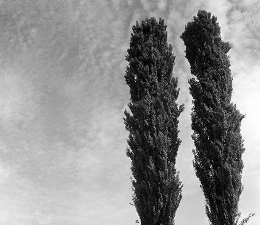 Conoscere e amare l’Italia: le trasformazioni del  Paese attraverso le fotografie di Renato Bazzoni