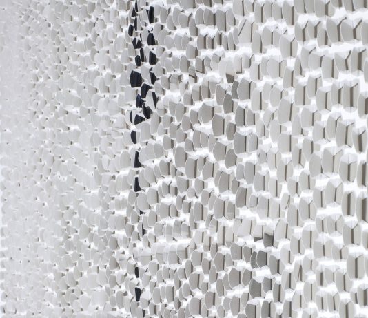 Curtis Mann – Verso