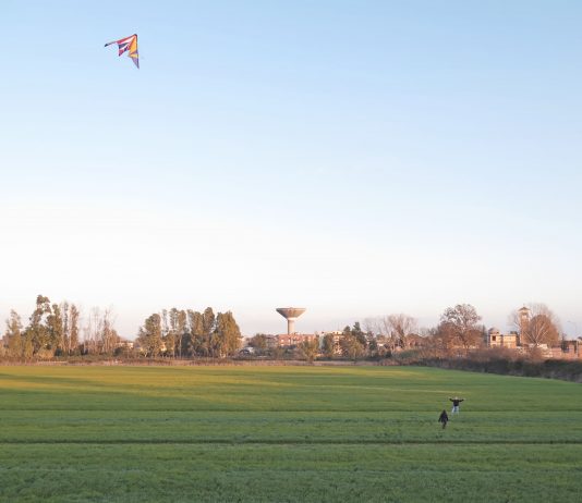 Davide Onorati – Supervisioni