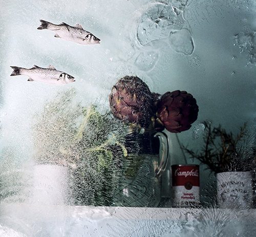 Gaia Degli Esposti – Ho trovato le sirene dietro al divano