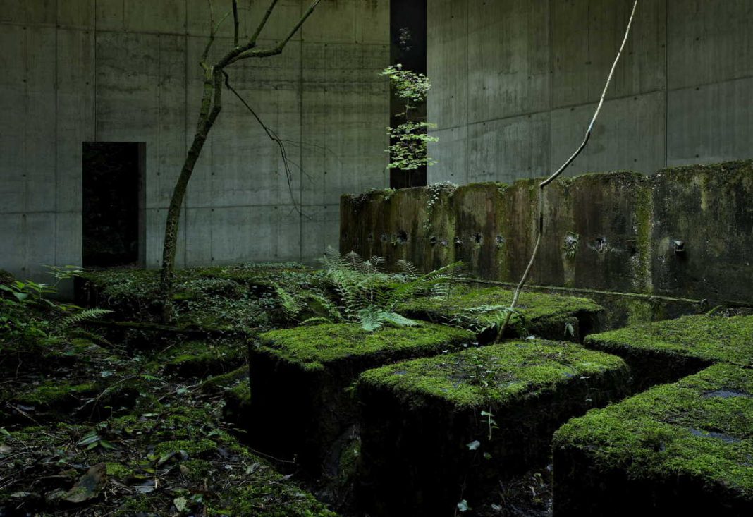 Gioberto Noro – Transizioni di fasehttps://www.exibart.com/repository/media/eventi/2015/01/gioberto-noro-8211-transizioni-di-fase-1068x733.jpg