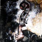 Micaela Mattioli – La forma della musica