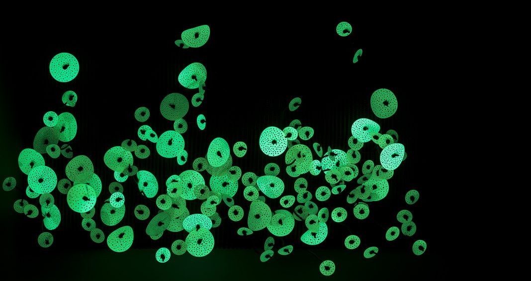 Silvia Beccaria – Senza perdere il filohttps://www.exibart.com/repository/media/eventi/2015/01/silvia-beccaria-8211-senza-perdere-il-filo-1068x565.jpg